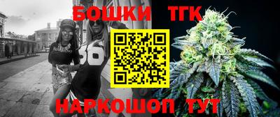 прущие грибы Абакан