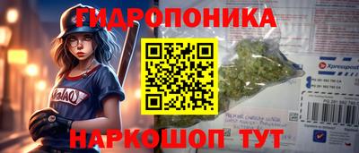 прущие грибы Абакан