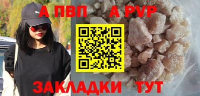 прущие грибы Абакан