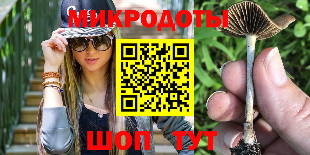 Псилоцибиновые грибы Psilocybe Абакан