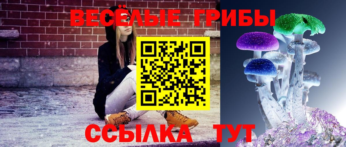 Псилоцибиновые грибы мухоморы  Вход с VPN  Абакан 